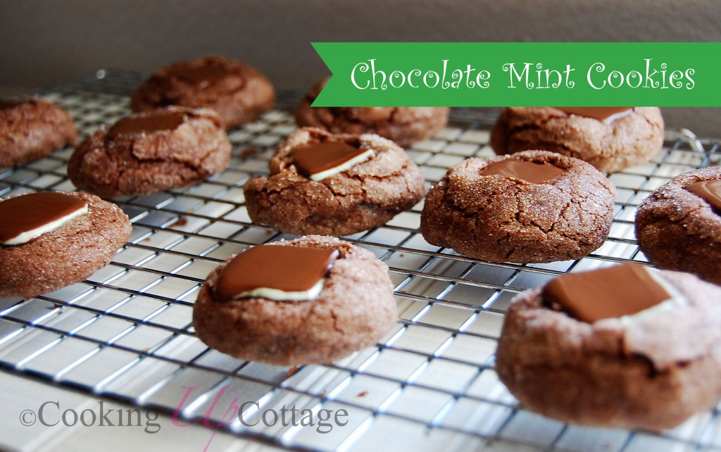 chocolate mint cookie