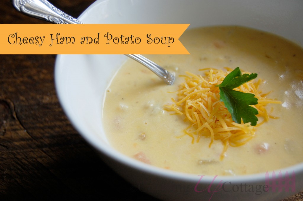 Cheesy ham and potato soup