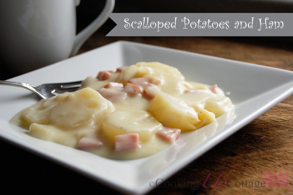 scalloped potatoes