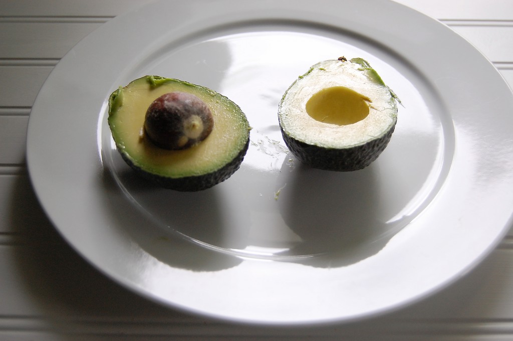 avocado cut in half