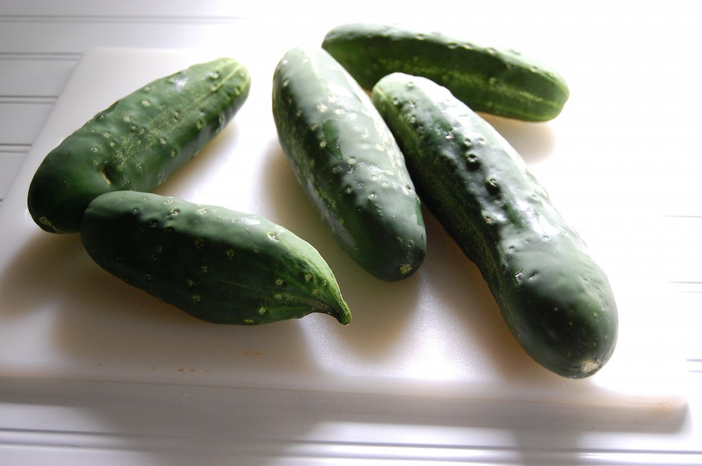 cucumbers