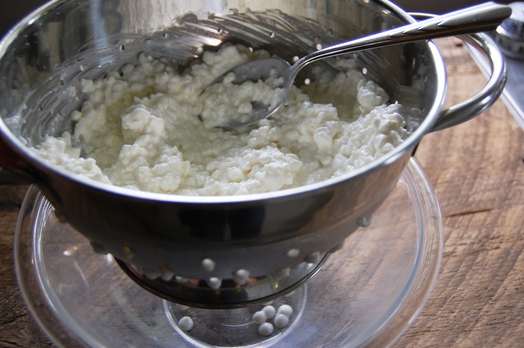 draining cottage cheese