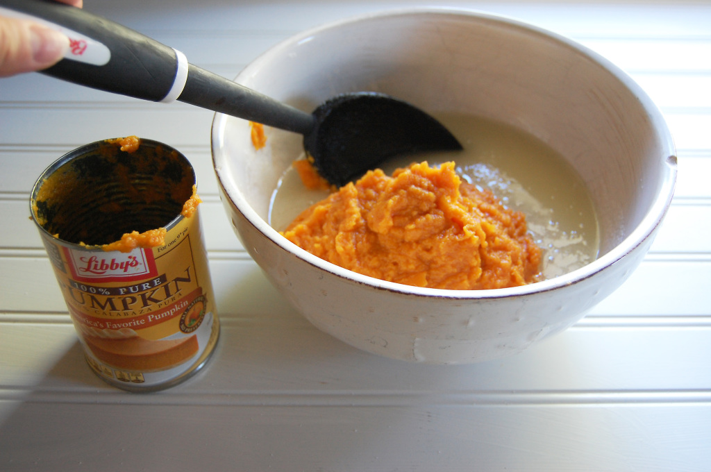 pumpkin forpumpkin bars