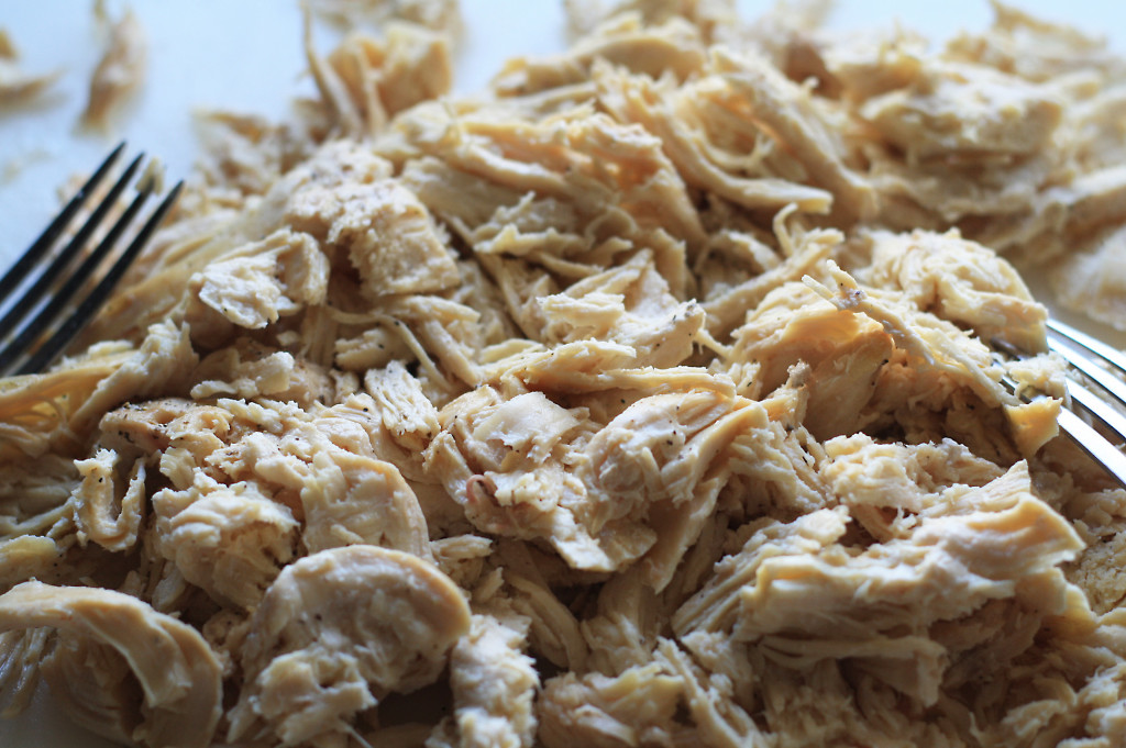 shredded chicken