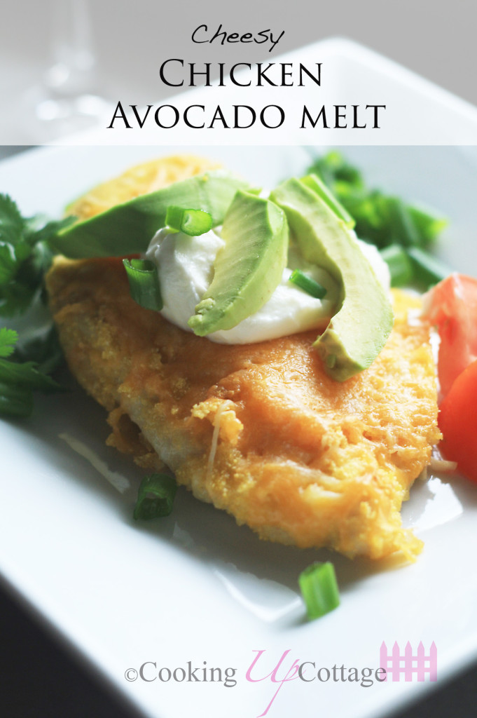 Cheesy Chicken Avocado melts