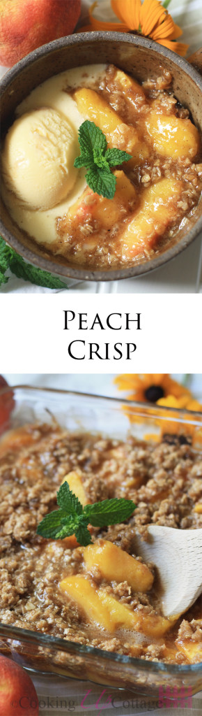 Peach Crisp Long pin